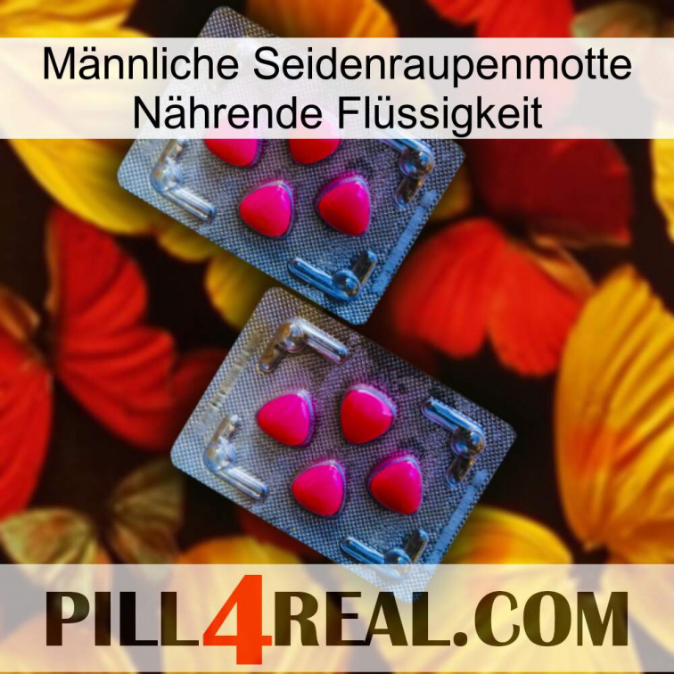 Männliche Seidenraupenmotte Nährende Flüssigkeit 14